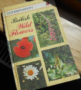 It would help if you had a field guide like this one, which you could probably borrow from  your local library or, if you're lucky, you might be able to get one cheap at a charity shop.