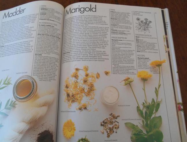 marigold uses